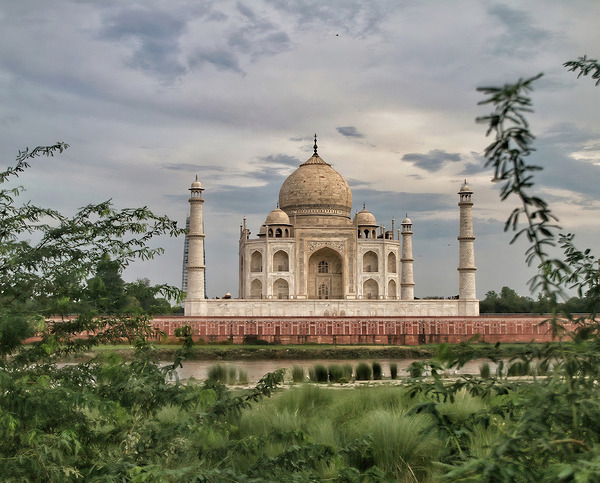 World3 Digital Download