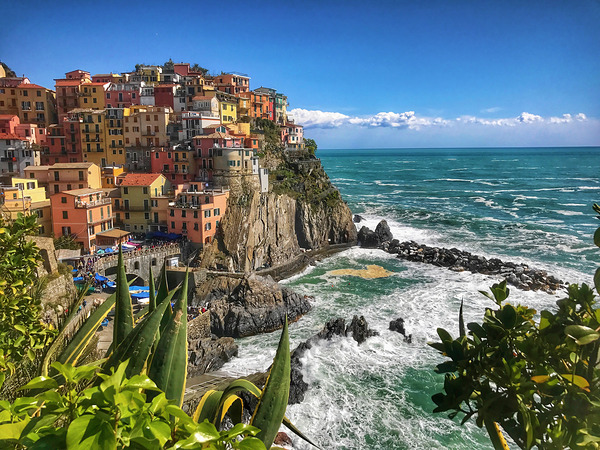 World17 Digital Download