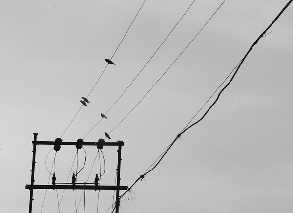 BW 20 Digital Download