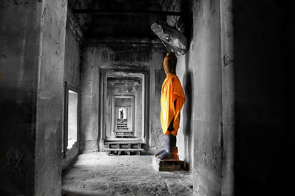 BW 9 Digital Download