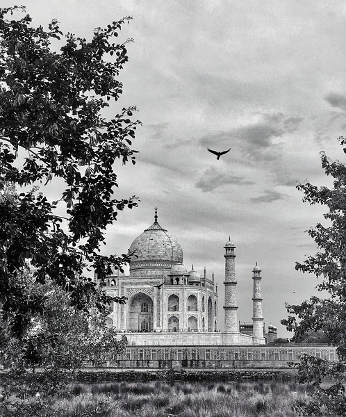 BW 12 Digital Download