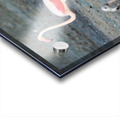 cigogne Acrylic print