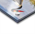 Africa Acrylic print