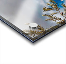 World12 Acrylic print