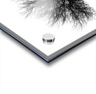 BW 31 Impression Acrylique