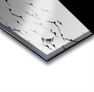 BW 21 Impression Acrylique