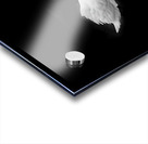 Lac des cygnes Acrylic print