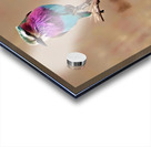 African bird Acrylic print