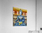 World15 Acrylic Print