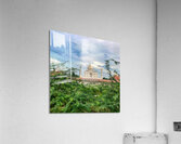 World1 Acrylic Print