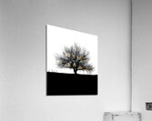 BW 31 Impression acrylique