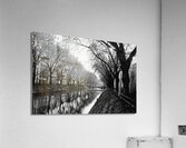 BW 16 Acrylic Print