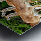 Look at me Metal print