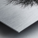 BW 31 Impression metal