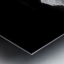 Lac des cygnes Metal print