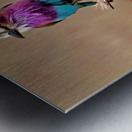 African bird Metal print