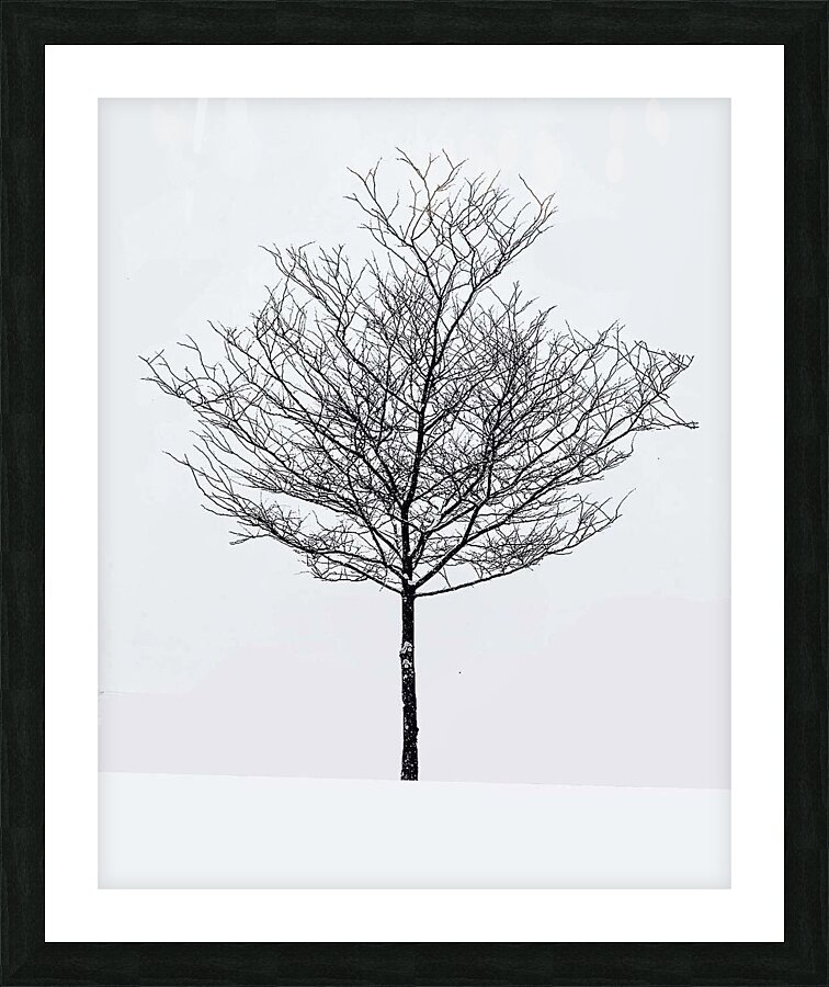 Snow white Picture Frame print