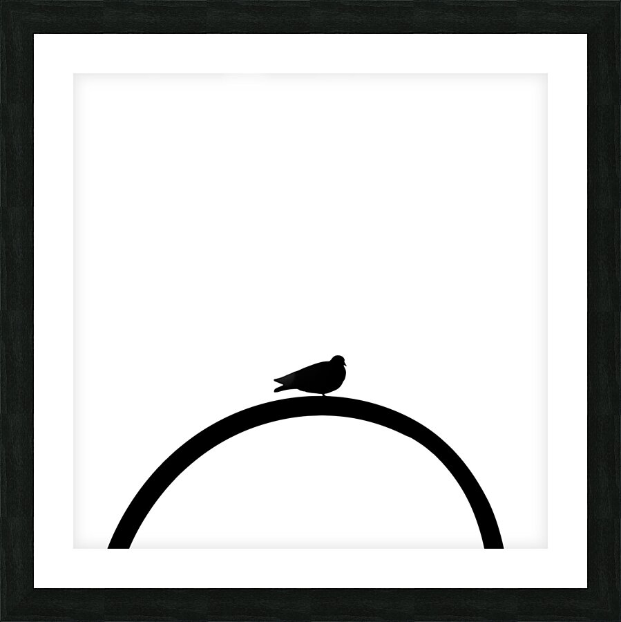 Minimal Bird Picture Frame print