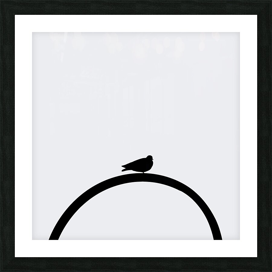 Minimalist Bird gris Picture Frame print