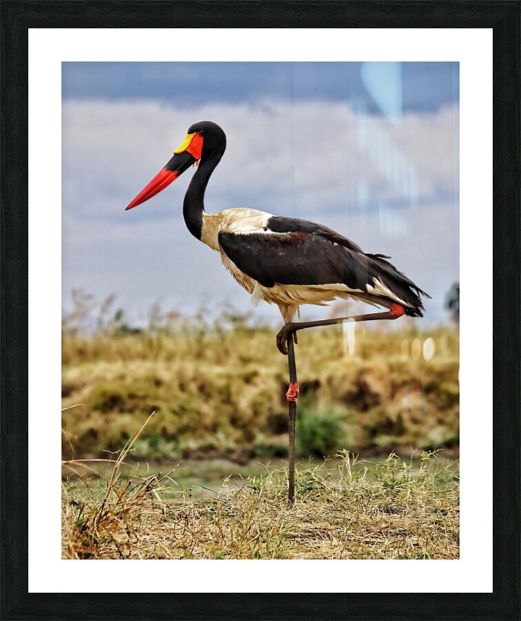 Africa Picture Frame print