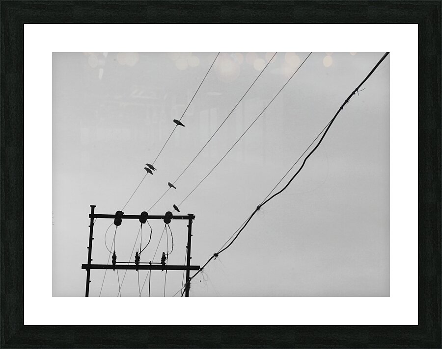 BW 20 Picture Frame print