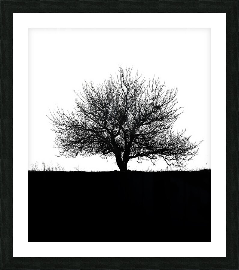 BW 31 Impression et Cadre photo