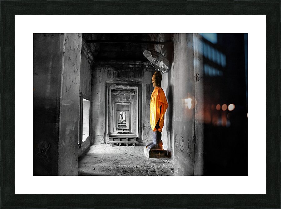 BW 9 Picture Frame print