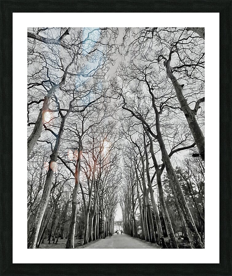 BW 26 Picture Frame print