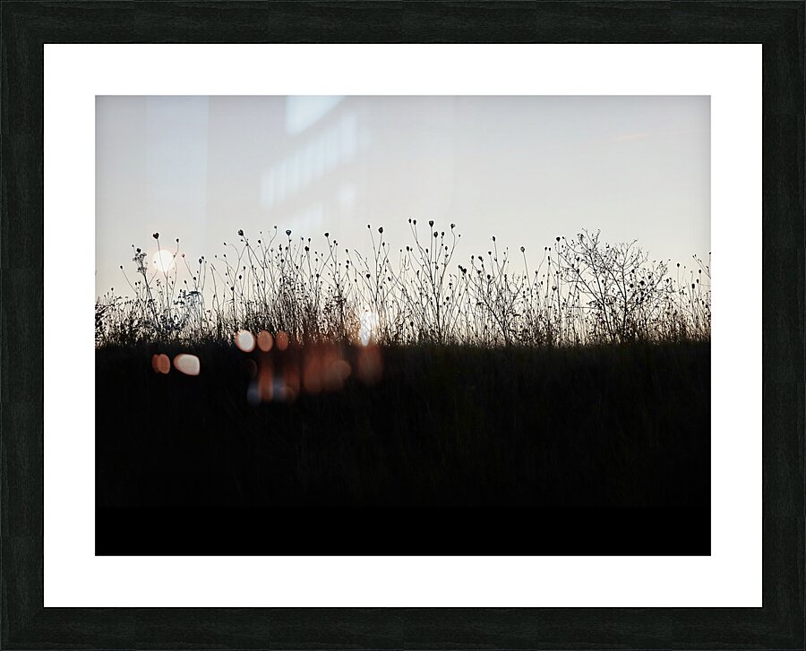 BW 6 Picture Frame print