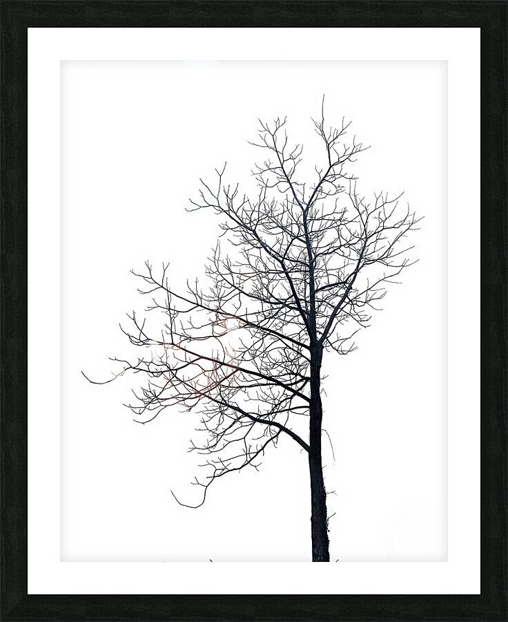 BW 11 Picture Frame print