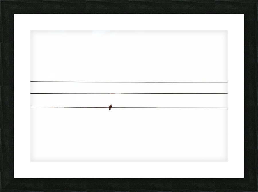 BW 17 Picture Frame print