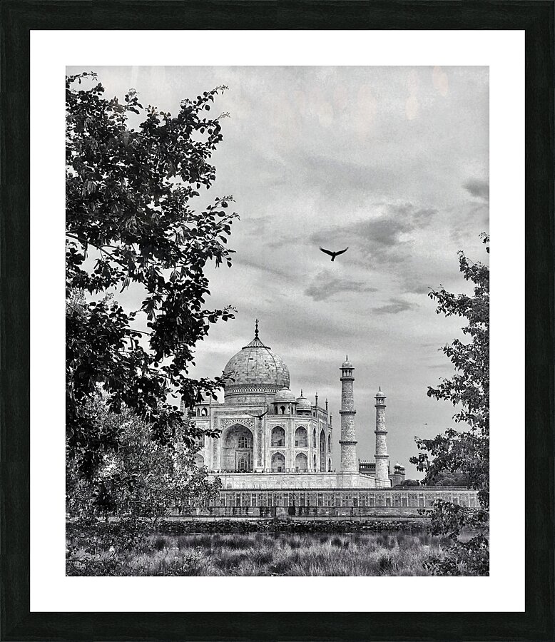 BW 12 Picture Frame print