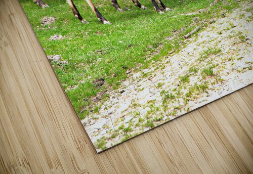 Look at me Eddy Tales puzzle