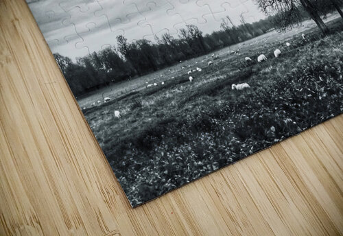 BW 5 Eddy Tales puzzle