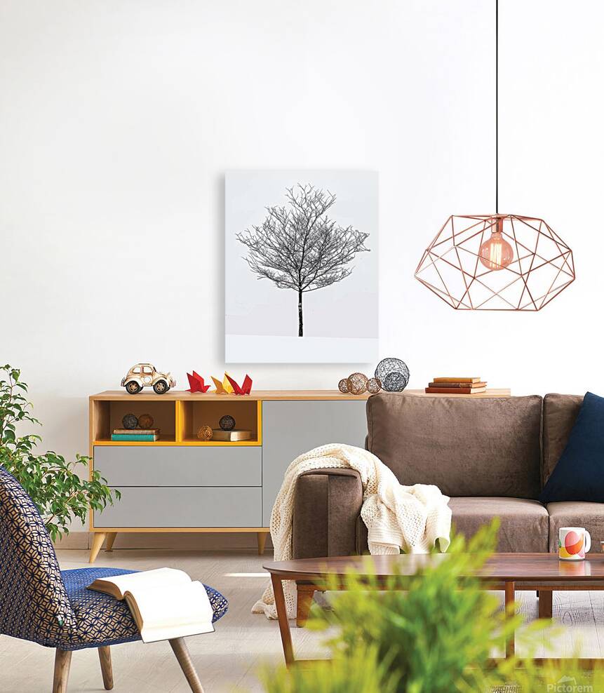 Snow white Reproduction