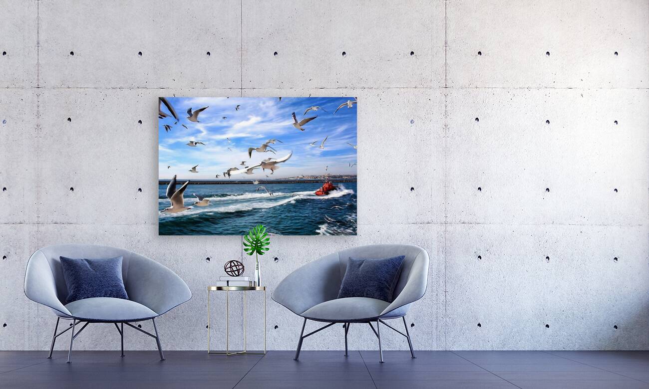 World13 Reproduction