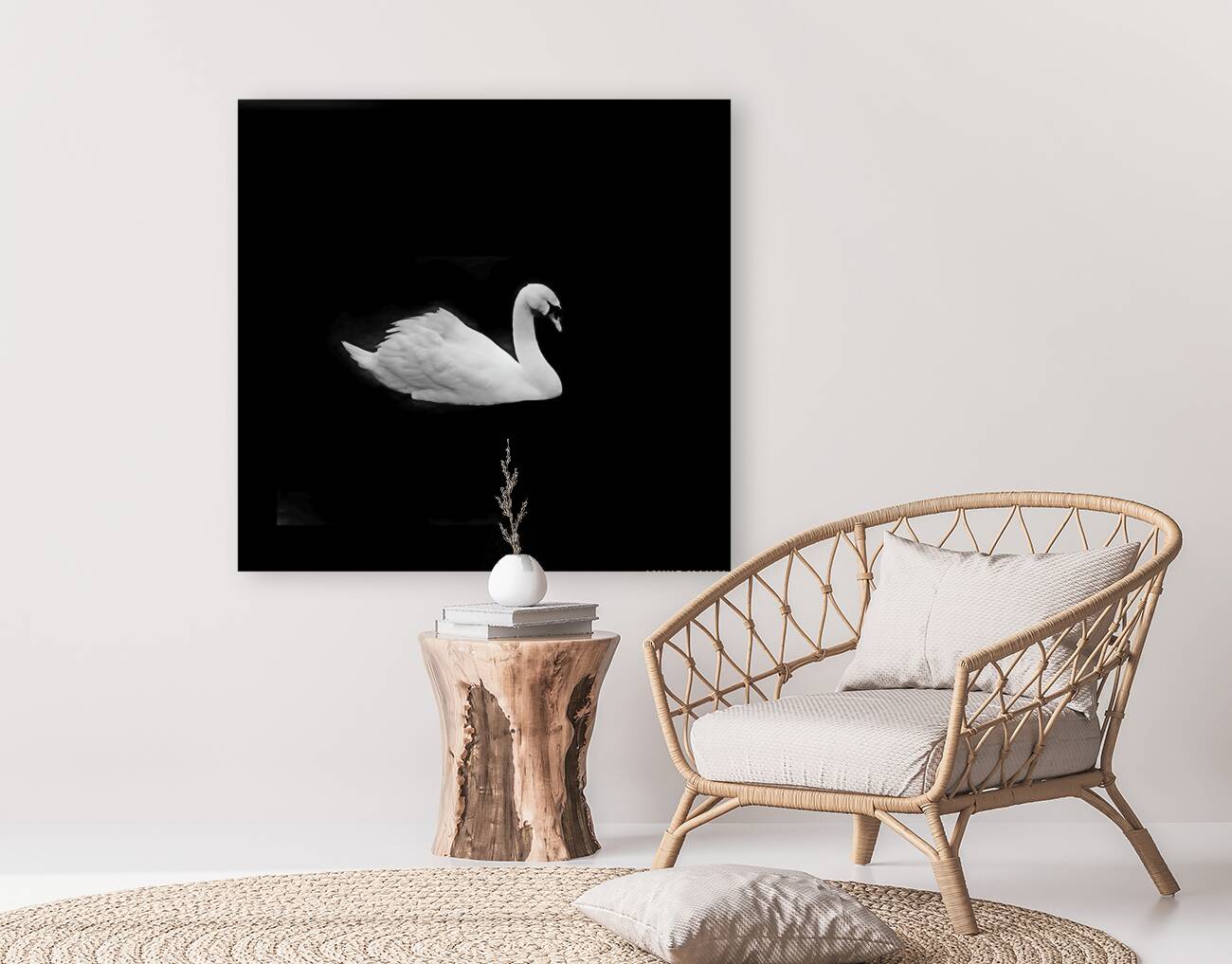 Lac des cygnes Reproduction