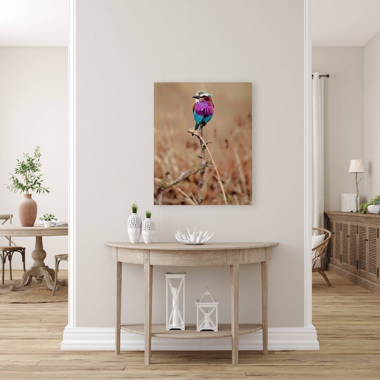 African bird Reproduction