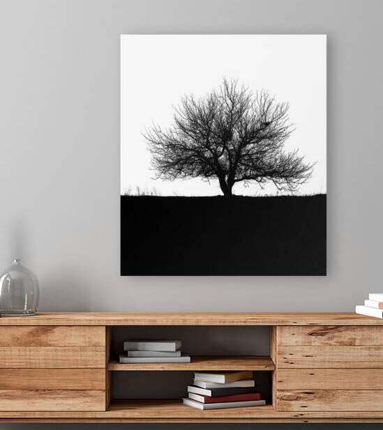 BW 31 by Eddy Tales