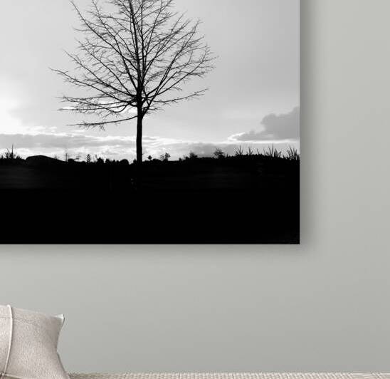 BW 14 by Eddy Tales