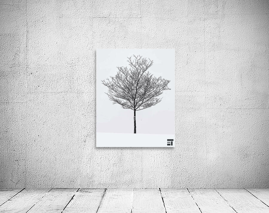 Snow white Wall Preview