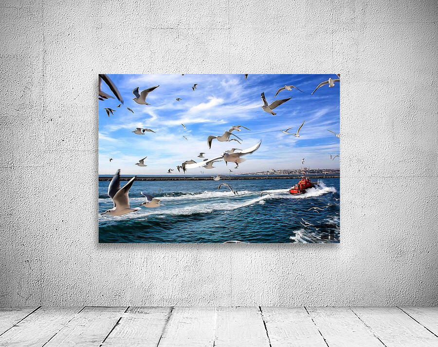 World13 Wall Preview