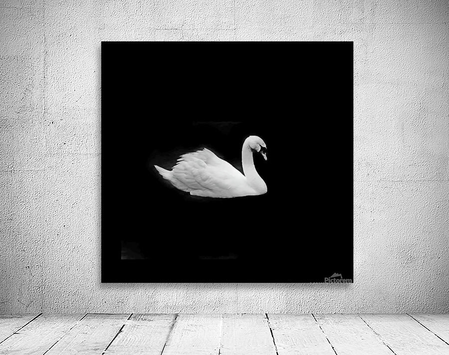 Lac des cygnes Wall Preview