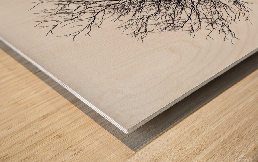 Snow white Wood print