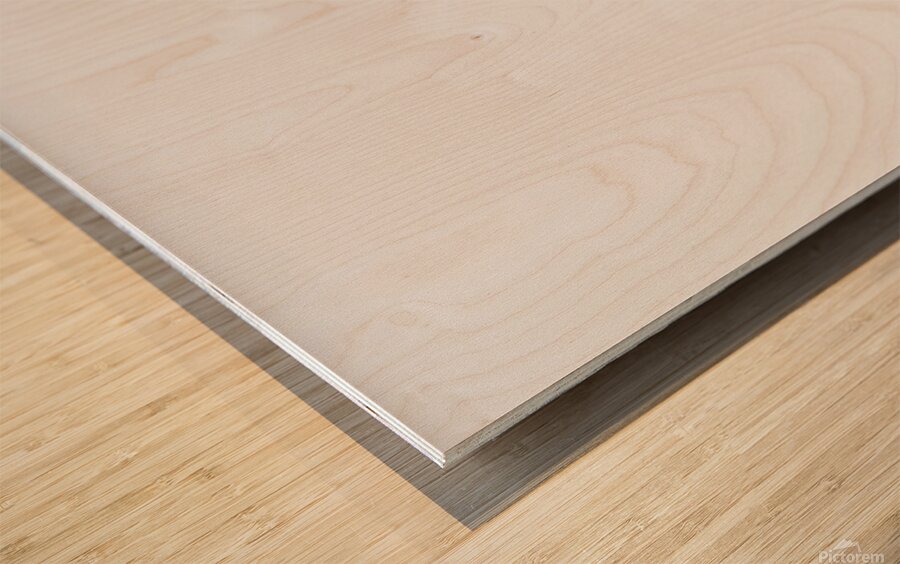 Minimalist Bird gris Wood print