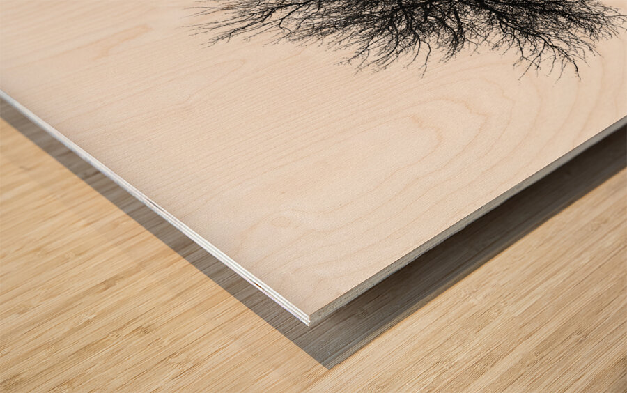 BW 31 Impression sur bois