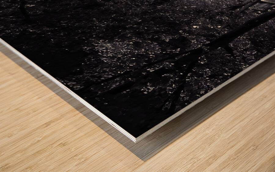 BW 25 Impression sur bois