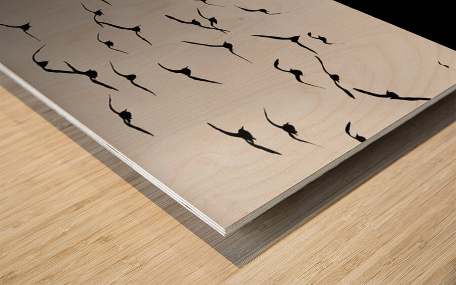 BW 21 Impression sur bois