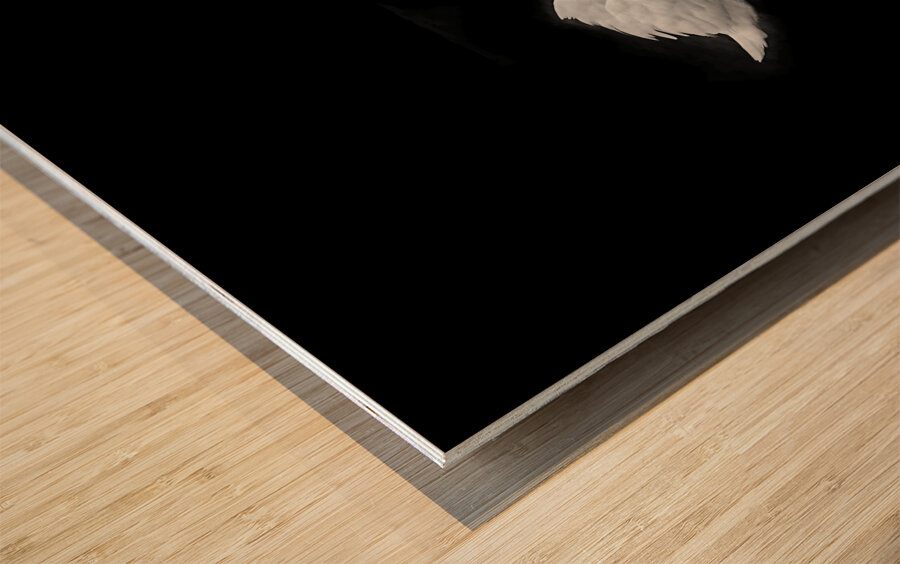 Lac des cygnes Wood print