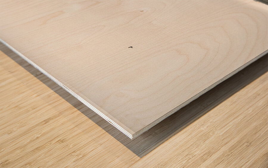 Mont Saint Michel France Wood print